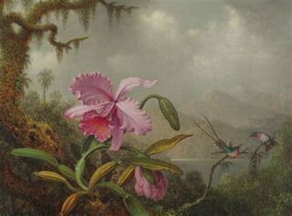 Martin Johnson Heade